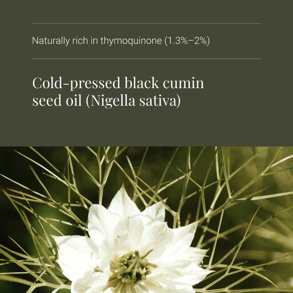 Black Seed Oil - Image 4