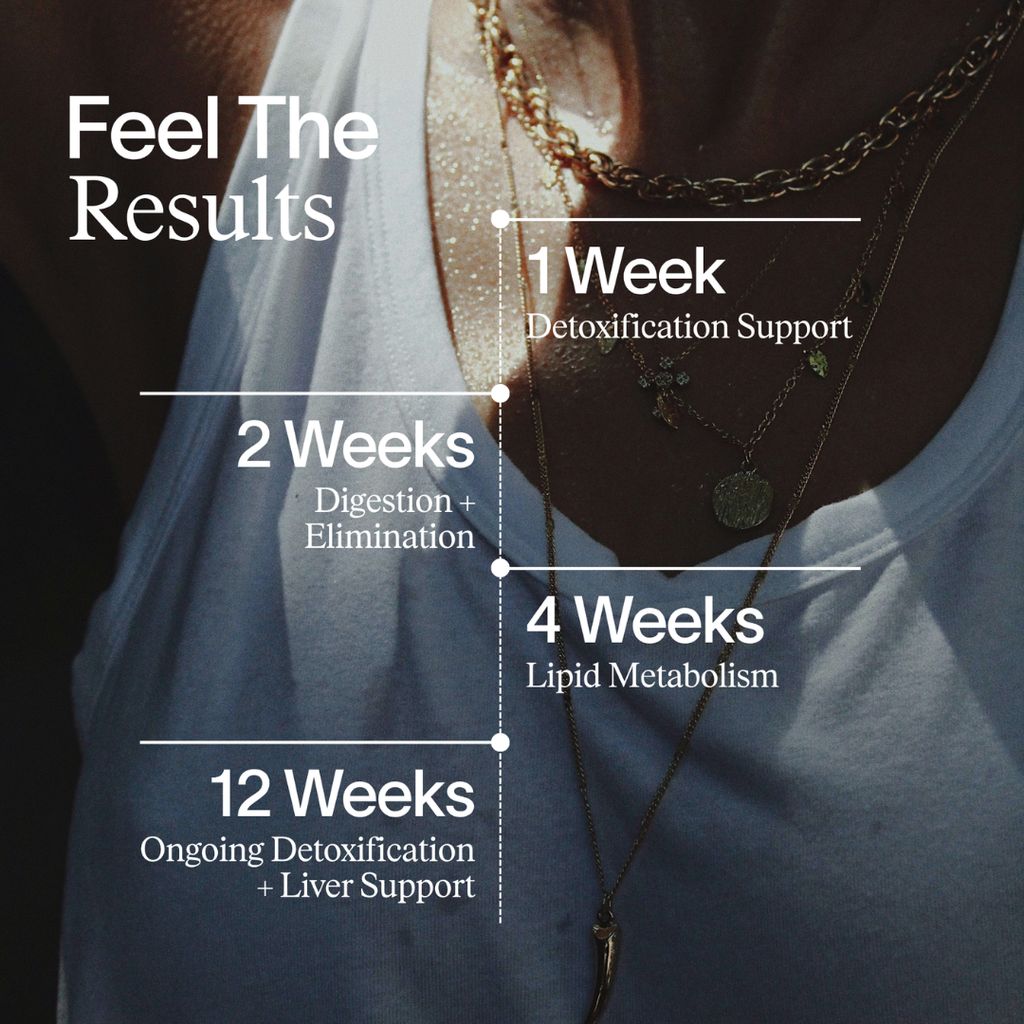 Deep Detox - Image 5