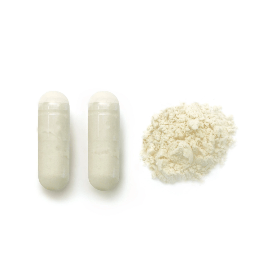 Shatavari Root Capsules - Image 3