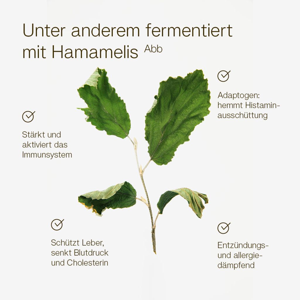 Derma Spray - Image 4