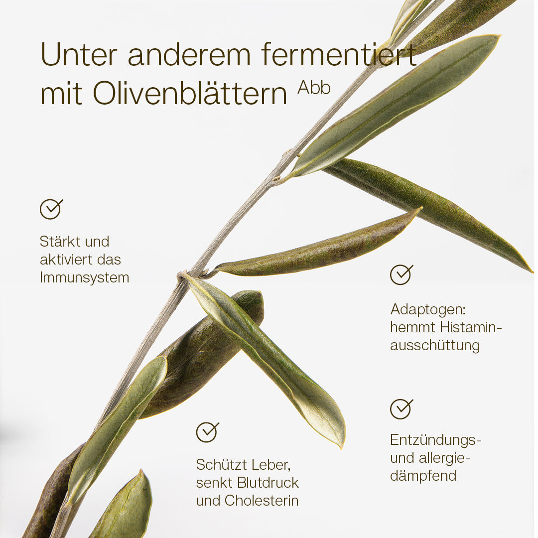 MikroVeda Life+ - Image 4